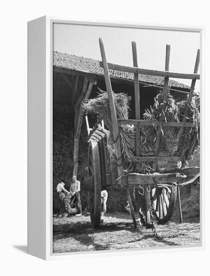 Men Constructing a Wheat Wreath Behind a Wheat Filled Wagon During the Harvest Season-Hans Wild-Framed Premier Image Canvas