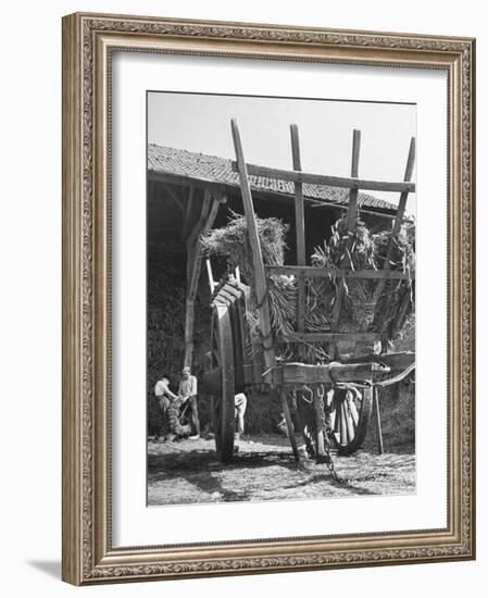 Men Constructing a Wheat Wreath Behind a Wheat Filled Wagon During the Harvest Season-Hans Wild-Framed Photographic Print