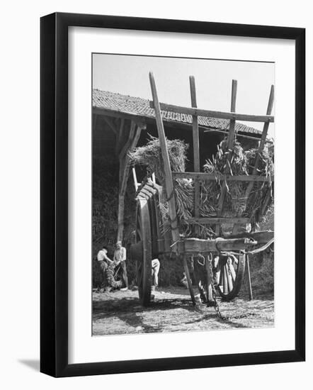 Men Constructing a Wheat Wreath Behind a Wheat Filled Wagon During the Harvest Season-Hans Wild-Framed Photographic Print