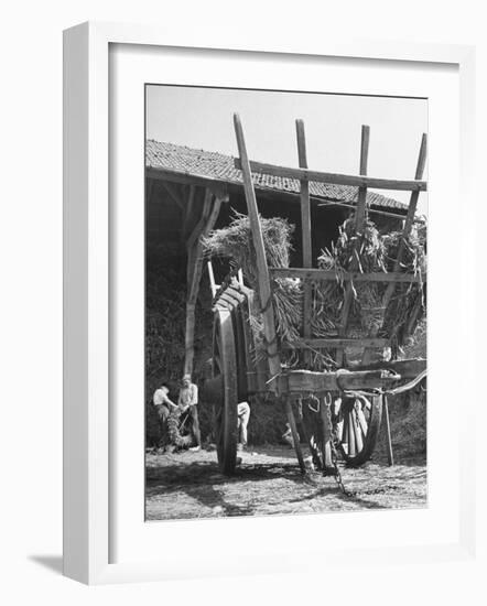 Men Constructing a Wheat Wreath Behind a Wheat Filled Wagon During the Harvest Season-Hans Wild-Framed Photographic Print