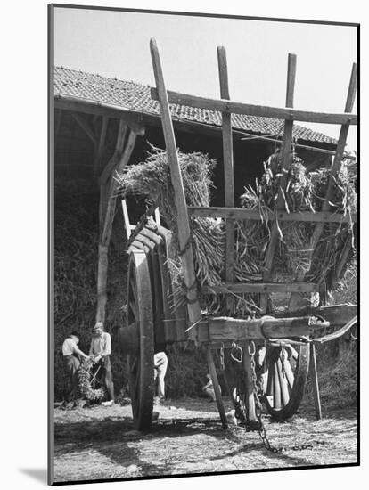 Men Constructing a Wheat Wreath Behind a Wheat Filled Wagon During the Harvest Season-Hans Wild-Mounted Photographic Print