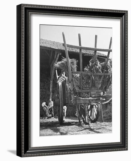 Men Constructing a Wheat Wreath Behind a Wheat Filled Wagon During the Harvest Season-Hans Wild-Framed Photographic Print