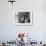 Men Eating Fresh Clams from a Pushcart Peddler in NYC's Italian Quarter-null-Framed Photo displayed on a wall