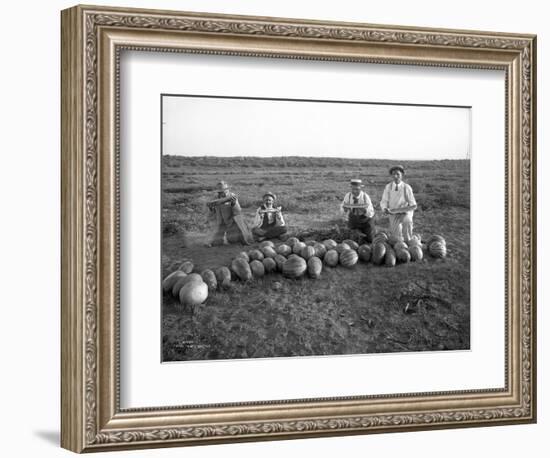 Men Eating Watermelon in Field Near Moses Lake, WA, 1911-Ashael Curtis-Framed Giclee Print
