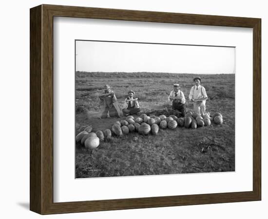 Men Eating Watermelon in Field Near Moses Lake, WA, 1911-Ashael Curtis-Framed Giclee Print