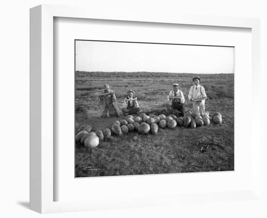 Men Eating Watermelon in Field Near Moses Lake, WA, 1911-Ashael Curtis-Framed Giclee Print