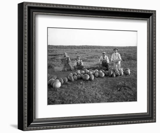 Men Eating Watermelon in Field Near Moses Lake, WA, 1911-Ashael Curtis-Framed Giclee Print