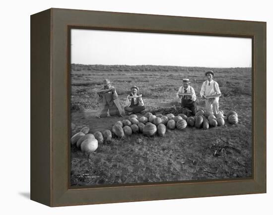 Men Eating Watermelon in Field Near Moses Lake, WA, 1911-Ashael Curtis-Framed Premier Image Canvas