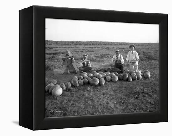 Men Eating Watermelon in Field Near Moses Lake, WA, 1911-Ashael Curtis-Framed Premier Image Canvas