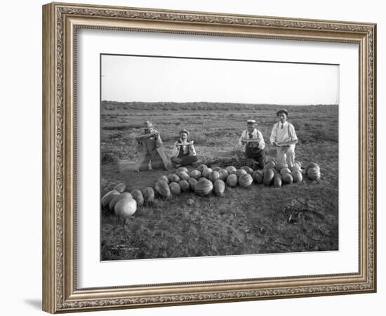 Men Eating Watermelon in Field Near Moses Lake, WA, 1911-Ashael Curtis-Framed Giclee Print