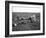 Men Eating Watermelon in Field Near Moses Lake, WA, 1911-Ashael Curtis-Framed Giclee Print