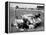 Men Fixing Their Race Car During the Grand Prix-Stan Wayman-Framed Premier Image Canvas