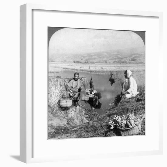 Men Gathering Rushes Near Suzukawa, Fujiyama, Japan, 1904-Underwood & Underwood-Framed Photographic Print