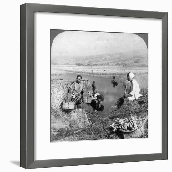 Men Gathering Rushes Near Suzukawa, Fujiyama, Japan, 1904-Underwood & Underwood-Framed Photographic Print