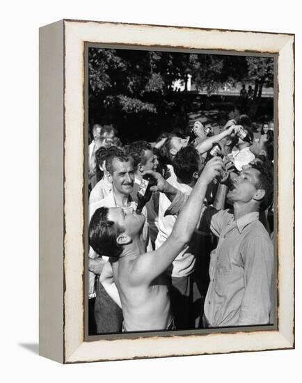 Men Having a Beer Drinking Contest at the Company Picnic-Allan Grant-Framed Premier Image Canvas