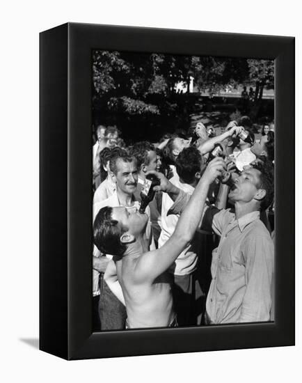 Men Having a Beer Drinking Contest at the Company Picnic-Allan Grant-Framed Premier Image Canvas