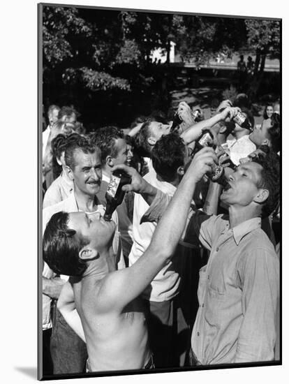Men Having a Beer Drinking Contest at the Company Picnic-Allan Grant-Mounted Photographic Print