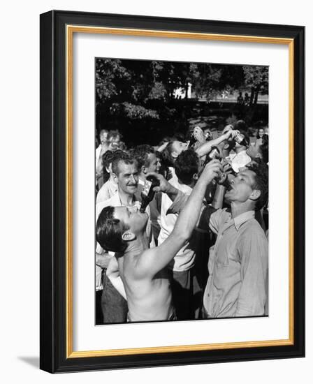 Men Having a Beer Drinking Contest at the Company Picnic-Allan Grant-Framed Photographic Print