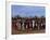 Men Hold Hands Forming a Circle Within Which the Women Dance in the Karo Village of Duss,Ethiopia-John Warburton-lee-Framed Photographic Print