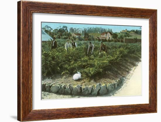 Men In Artichoke Field with Rabbit-null-Framed Art Print
