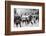 Men in Bolshevik uniform fighting police in the street, Germany, c1918-c1933(?) (1936)-Unknown-Framed Photographic Print