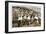 Men in Sombreros at Bar, Tijuana, Mexico-null-Framed Art Print