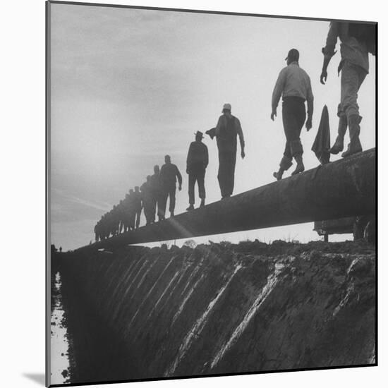 Men Laying Pipeline-null-Mounted Photographic Print