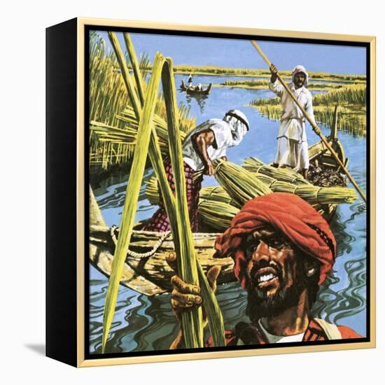 Men of the Marshes of Southern Iraq-Payne-Framed Premier Image Canvas