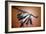 Men Omini War-Pipe, North American Indian-Unknown-Framed Giclee Print