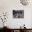 Men on Horseback Carry Supplies to Cattle Ranch on the Outskirts of Santiago, Chile, South America-Aaron McCoy-Photographic Print displayed on a wall