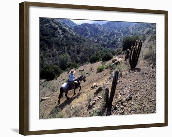 Men on Horseback Carry Supplies to Cattle Ranch on the Outskirts of Santiago, Chile, South America-Aaron McCoy-Framed Photographic Print