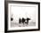 Men on the Shore, Scheveningen, Netherlands, 1898-James Batkin-Framed Photographic Print