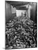 Men Packing a Ship with Freshly Caught Cod Fish-Ralph Morse-Mounted Photographic Print