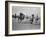 Men Playing Polo-Carl Mydans-Framed Photographic Print