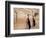 Men Praying at the Wailing Wall, Jerusalem, Israel-Bill Bachmann-Framed Photographic Print