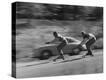 Stretched Canvas Print