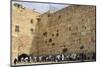 Men's Section, Western (Wailing) Wall, Temple Mount, Old City, Jerusalem, Middle East-Eleanor Scriven-Mounted Photographic Print