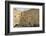 Men's Section, Western (Wailing) Wall, Temple Mount, Old City, Jerusalem, Middle East-Eleanor Scriven-Framed Photographic Print