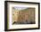 Men's Section, Western (Wailing) Wall, Temple Mount, Old City, Jerusalem, Middle East-Eleanor Scriven-Framed Photographic Print