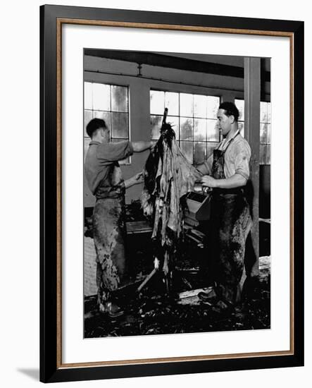 Men Scraping Clots of Hair from the Leather at the Tannery-John Phillips-Framed Premium Photographic Print