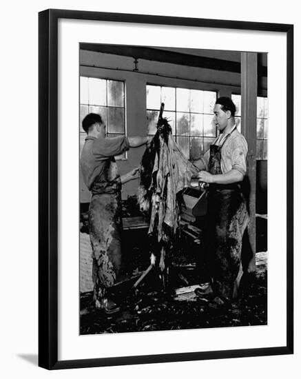 Men Scraping Clots of Hair from the Leather at the Tannery-John Phillips-Framed Premium Photographic Print