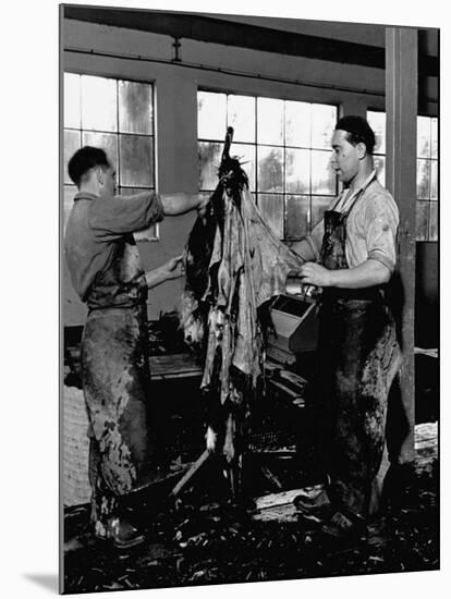 Men Scraping Clots of Hair from the Leather at the Tannery-John Phillips-Mounted Premium Photographic Print