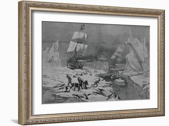 Men Slaughtering Seals-null-Framed Giclee Print