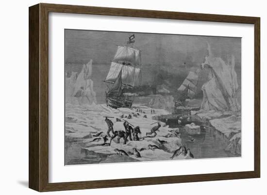 Men Slaughtering Seals-null-Framed Giclee Print