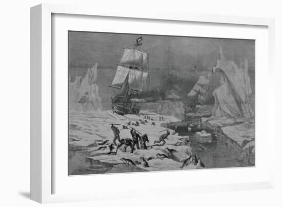 Men Slaughtering Seals-null-Framed Giclee Print