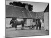 Men Standing Near Horse-Drawn Farming Equipment-null-Mounted Photographic Print