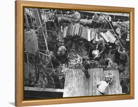Men Unloading the Grimsby Trawler at Number Four Fish Dock-William Vandivert-Framed Premier Image Canvas