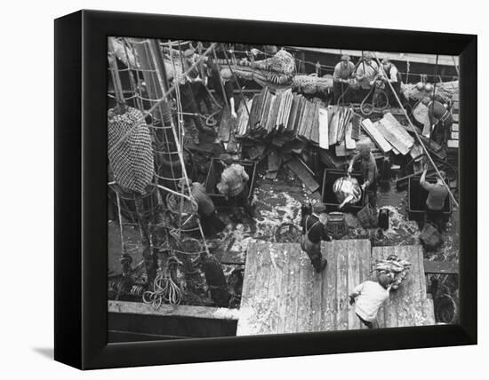 Men Unloading the Grimsby Trawler at Number Four Fish Dock-William Vandivert-Framed Premier Image Canvas