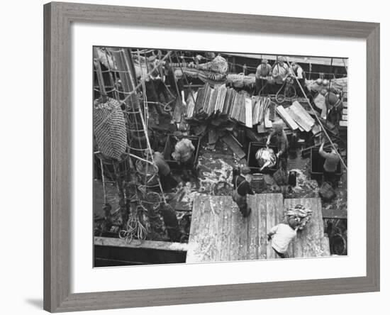 Men Unloading the Grimsby Trawler at Number Four Fish Dock-William Vandivert-Framed Premium Photographic Print