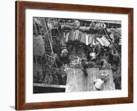 Men Unloading the Grimsby Trawler at Number Four Fish Dock-William Vandivert-Framed Premium Photographic Print